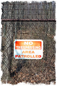 Security fence