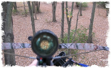 Hunting with a crossbow